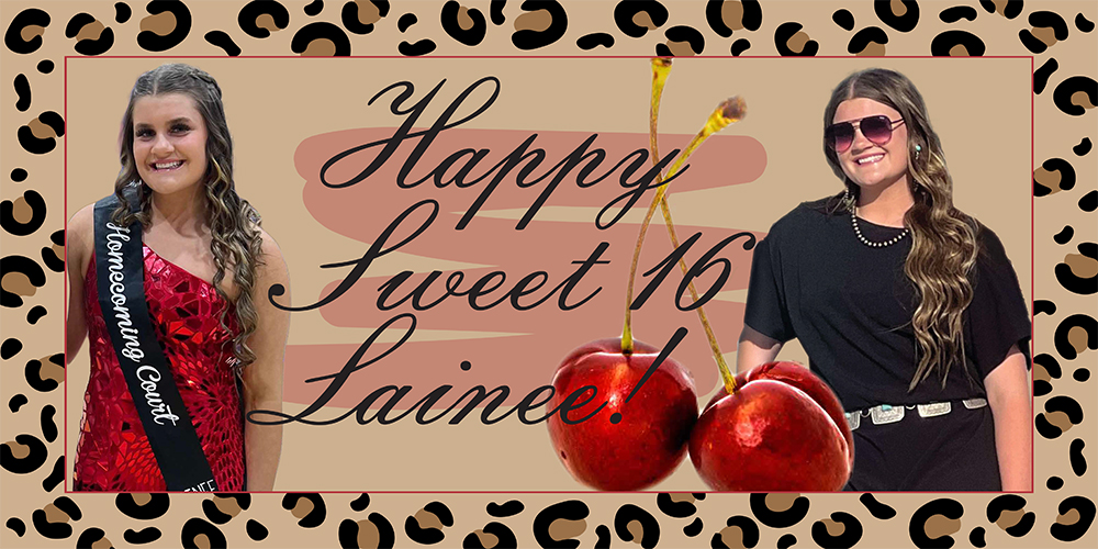 Sweet 16 Birthday Banner.